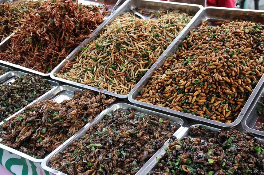 Рынки насекомых